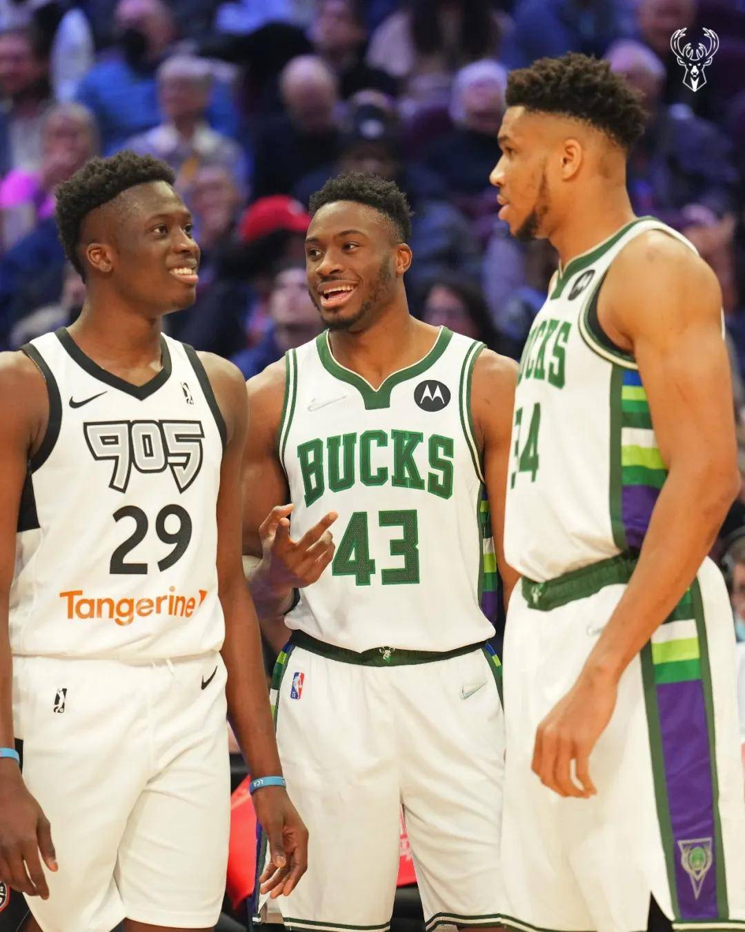 包含雄鹿击败凯尔特人,字母哥单手轻松领军获胜的词条 包含雄鹿击败凯尔特人,字母哥单手轻松领军获胜的词条