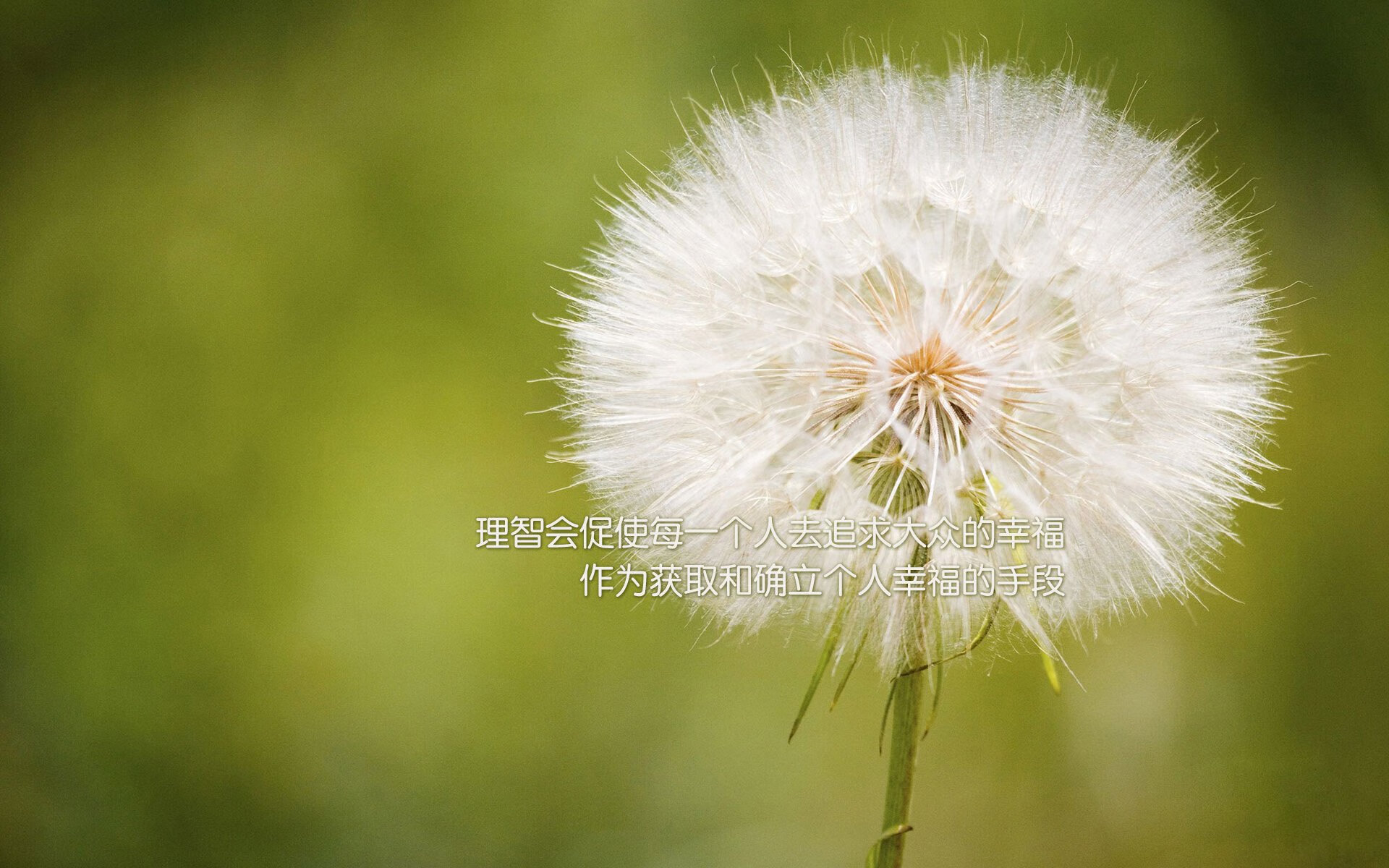 开云体育官网-红魔鏖战加勒比飓风,布雷默一锤定音,曼联硬仗攻克牙买加