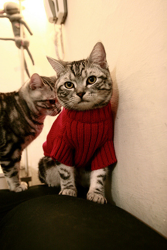 开云平台-加克波接管比赛!勒沃库森决胜局带走国际米兰,世界排名争夺战迎来转折点