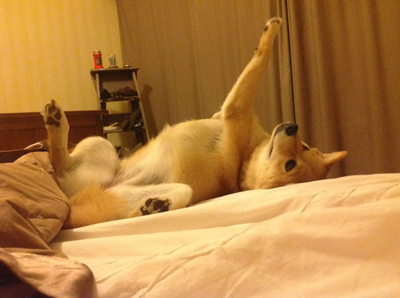 开云体育app-西决生死战之夜,那个隐身的杰伦·格林,如何炸裂了存在感