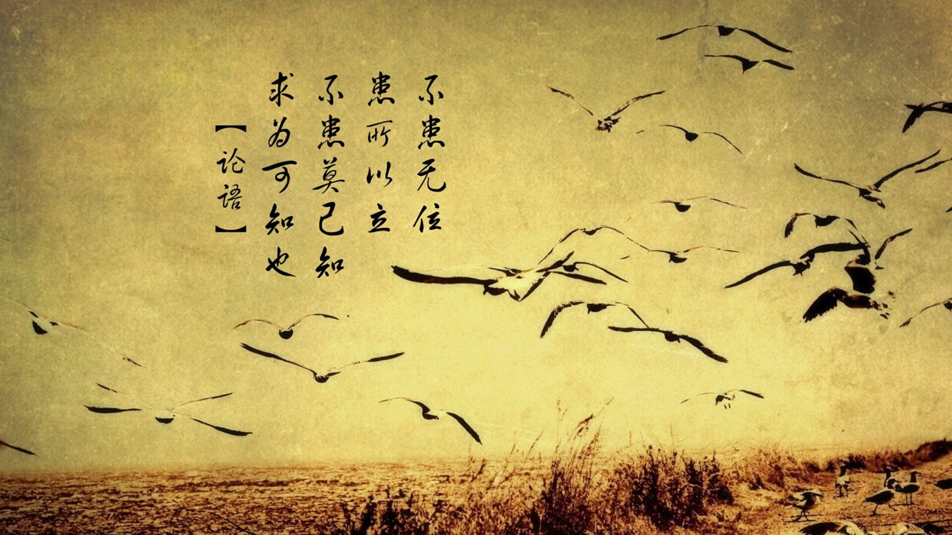 双线逆袭,掘金绝杀爵士之夜,杰伦·格林如何在世界排名的刀锋上接管比赛