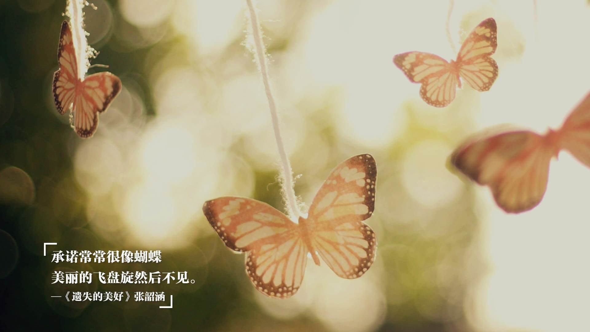 跨界战术风云,从意甲焦点战透视广东队如何以战术压制篮网