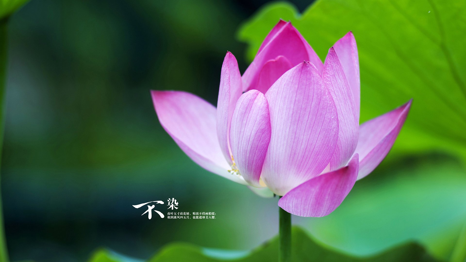 欧文教科书式技艺难敌马刺铁血体系,圣城新篇章悄然开启