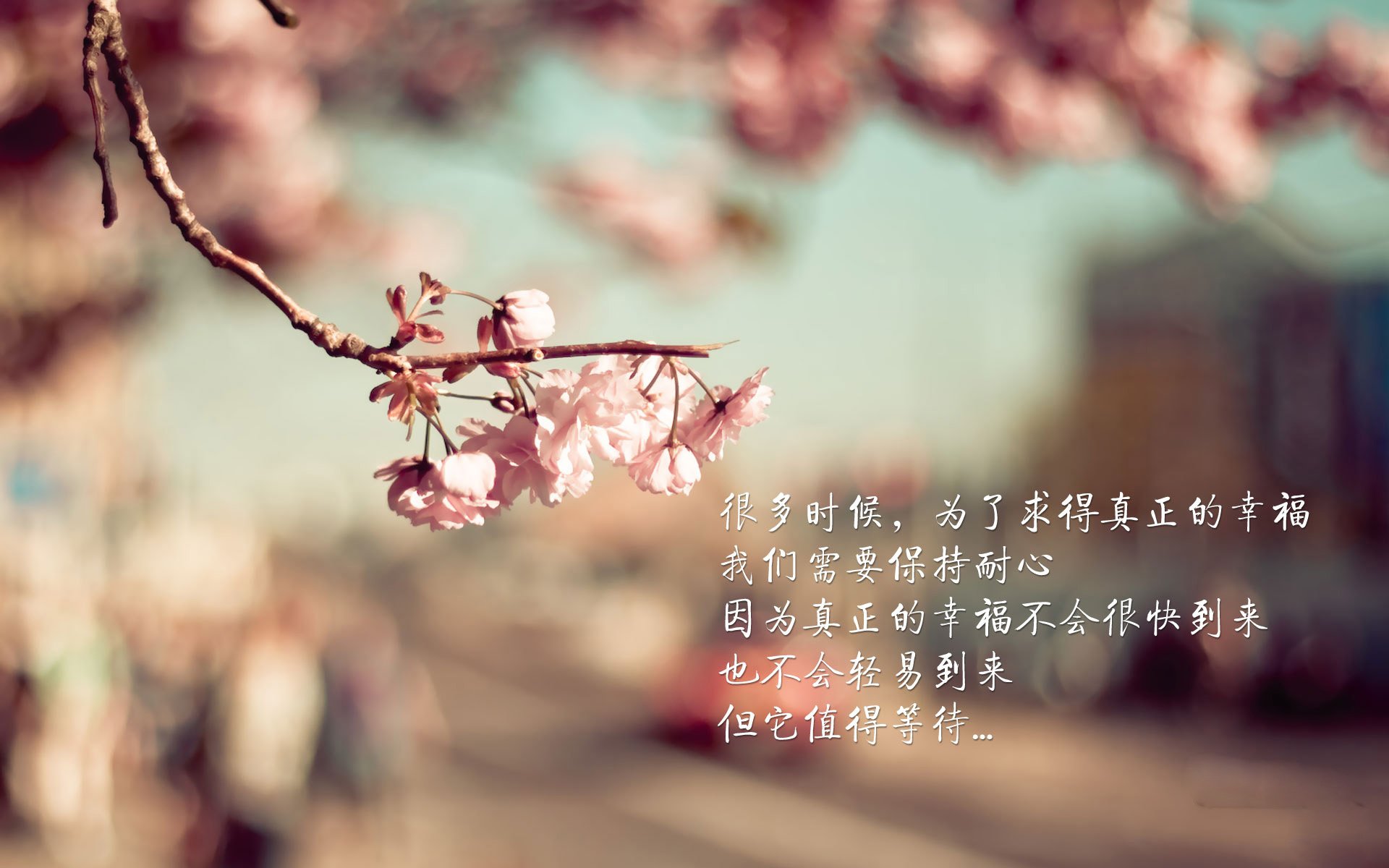 开云体育入口-青铜之血，赖斯五分钟内的神迹与威尔士盾墙的崩塌