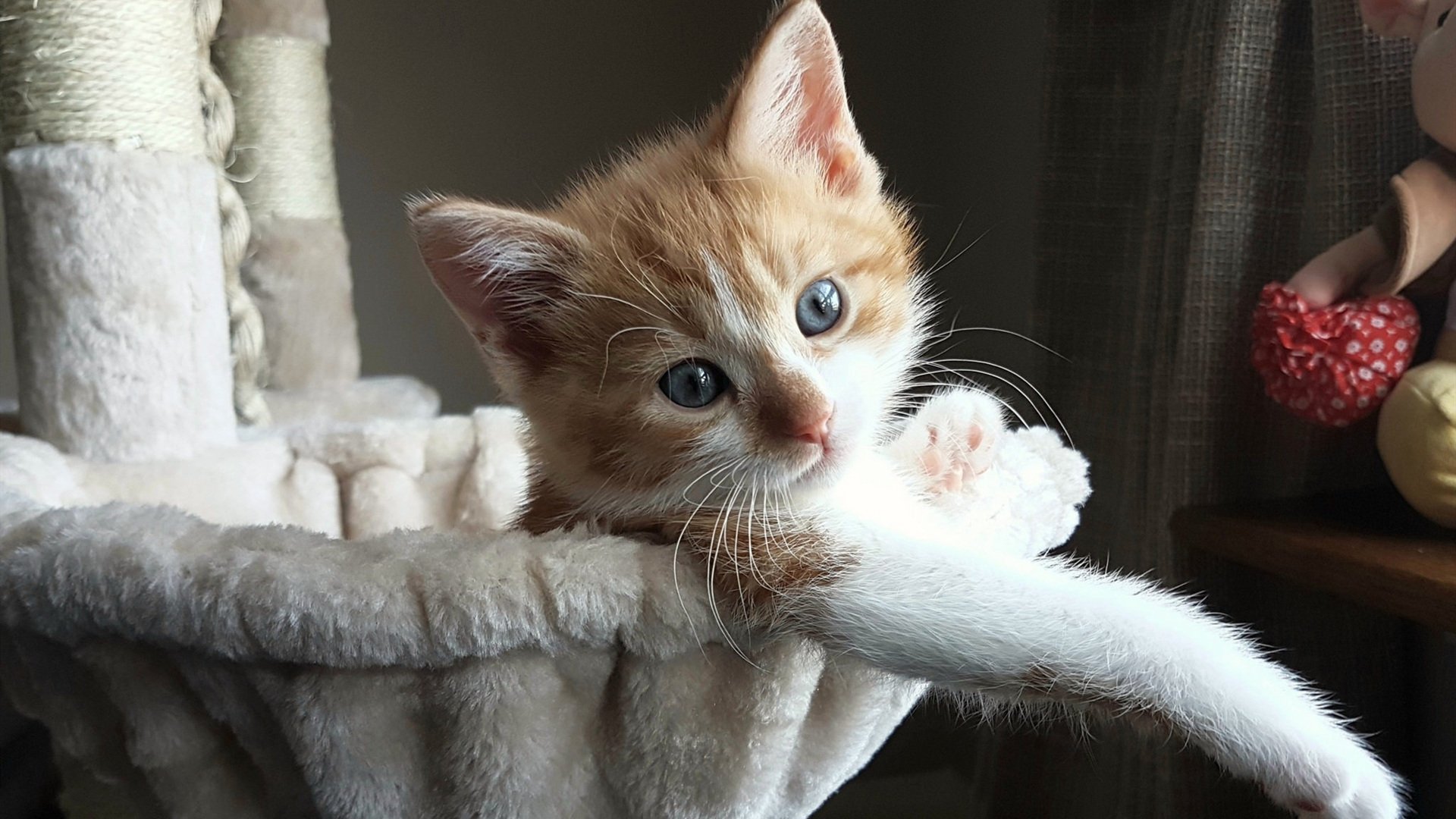 开云官网-悬念揭晓!国家德比神奇之夜,无名小卒竟成真正胜负手