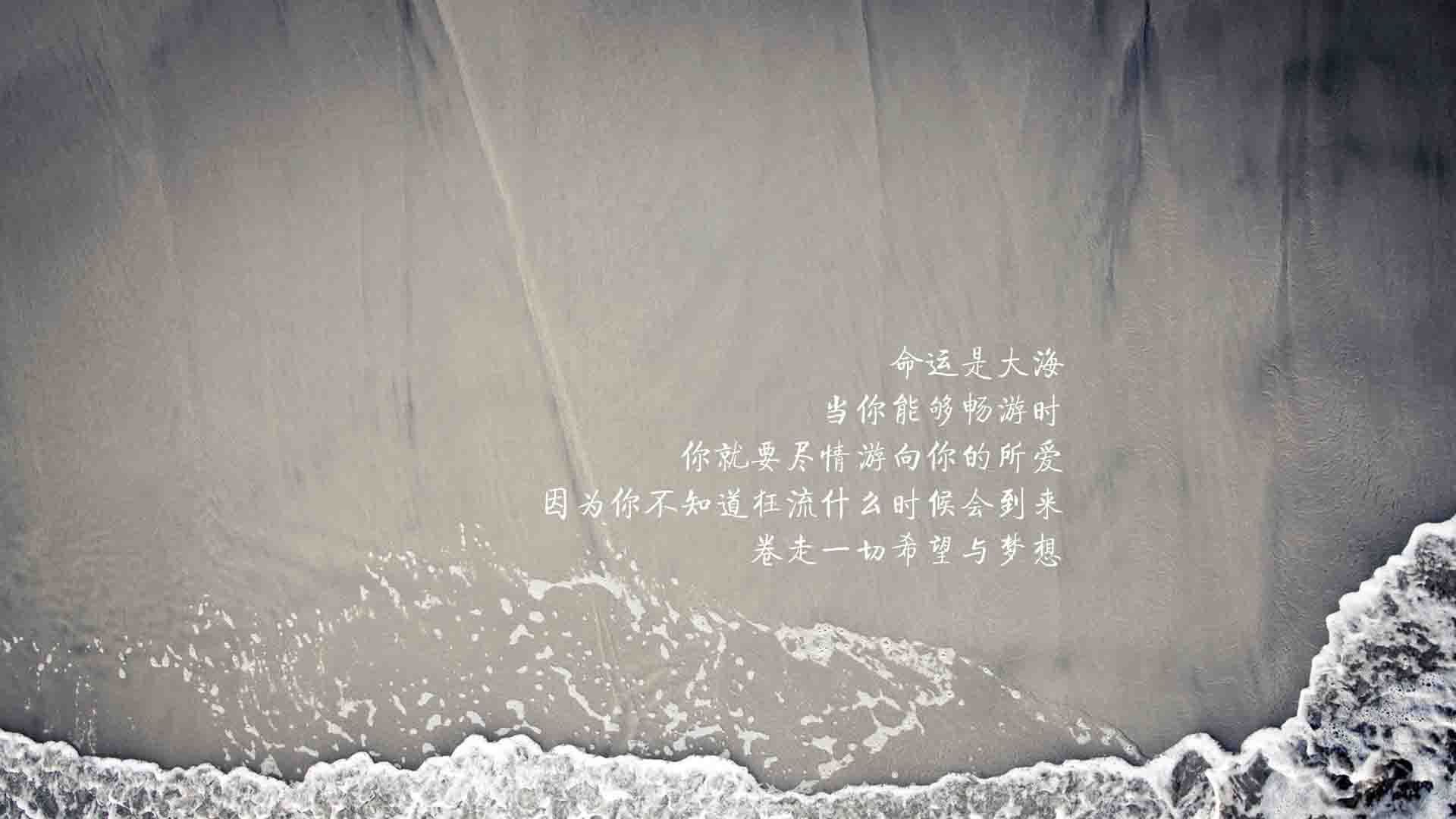 开云体育在线-东方闪电撕裂印城夜空,辽宁队团队洪流淹没哈利伯顿孤星光芒